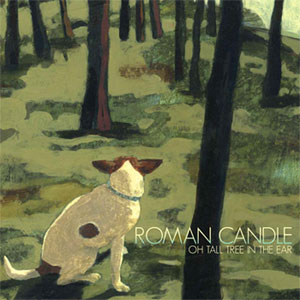 cover cover