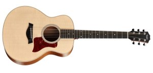 Taylor GS Mini