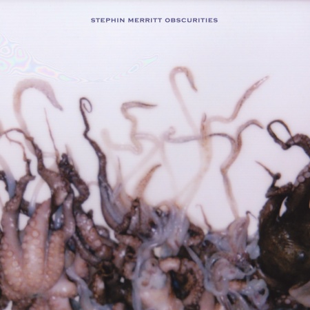 stephin-merritt_obscurities