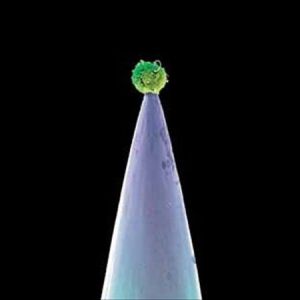 Peter Gabriel: New Blood