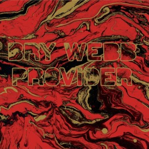 Bry Webb: Provider