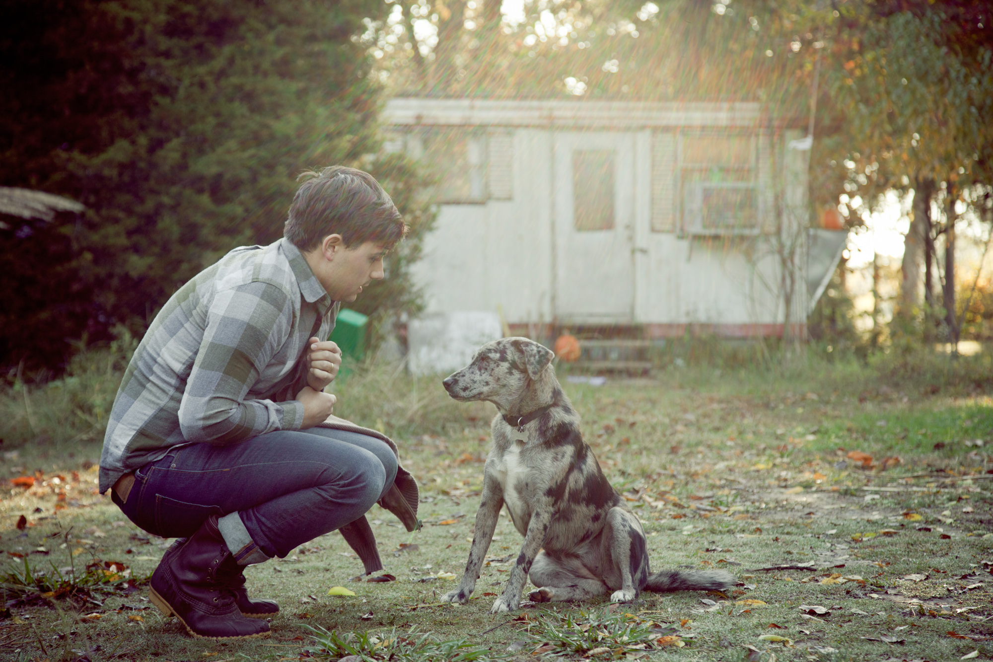 Daily Discovery Joseph LeMay