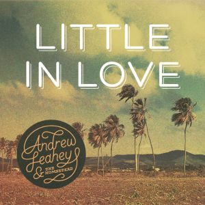 Video Premiere: Andrew Leahey and the Homestead, “Little In Love”