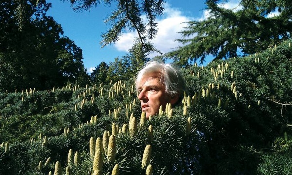 robyn-hitchcock