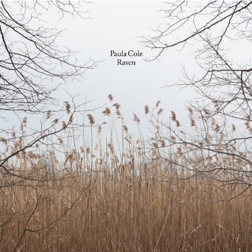 paula cole