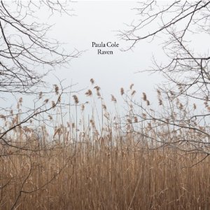 Paula Cole: Raven