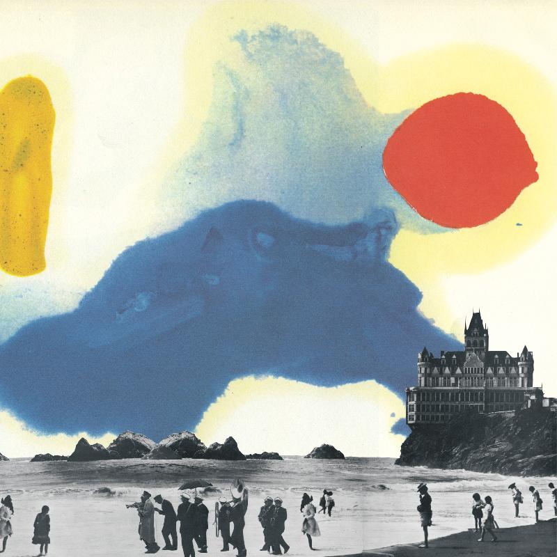 yellowbirds