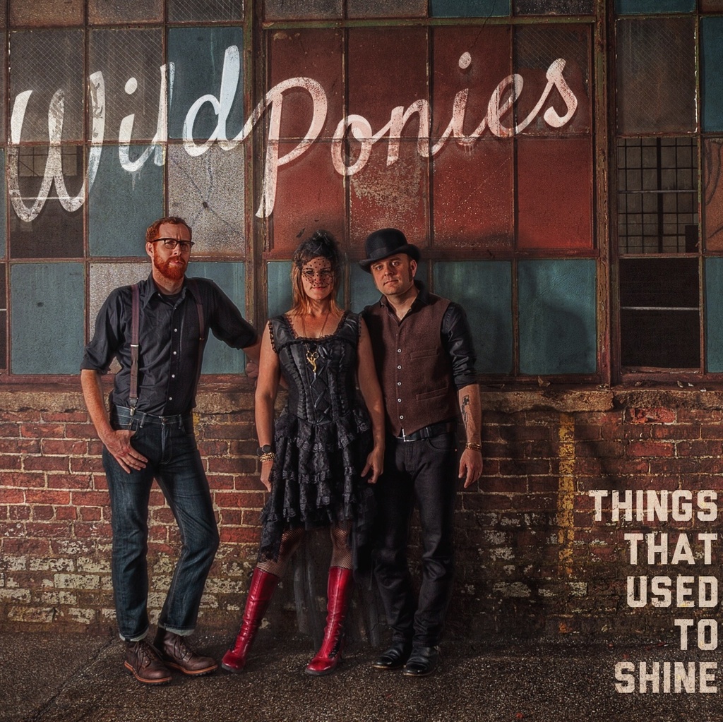 wild ponies