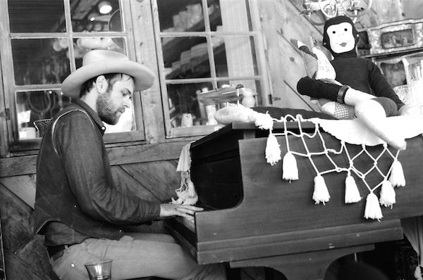 catalena, monkey, adjusted