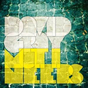 David Gray: Mutineers