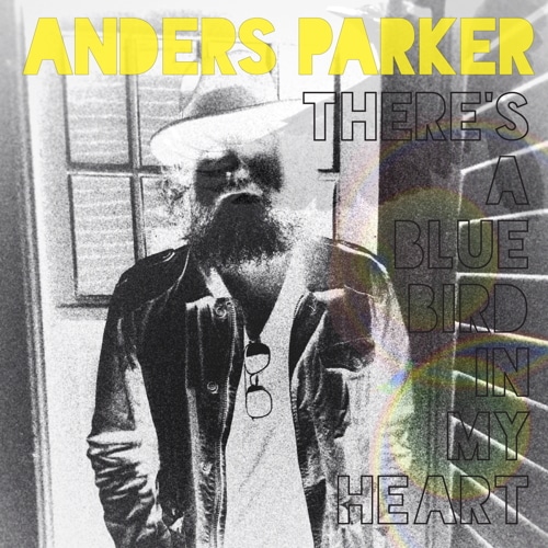 andersparkertheresabluebirdinmyheart