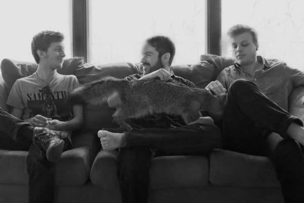 Creature Comfort Photo