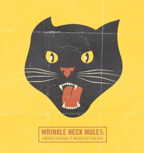 Wrinkle Neck Mules: I Never Thought It Would Go This Far