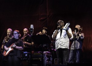 Steely Dan, Elvis Costello Turn Summer Cool