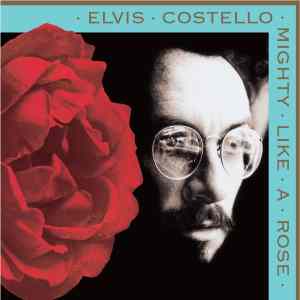 Elvis Costello, “The Other Side Of Summer”