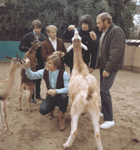 The Beach Boys: Alone Together Now