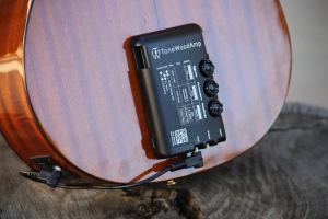 TonewoodAmp review