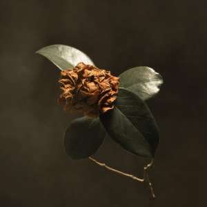 St. Paul & The Broken Bones Announce New Album and Tour