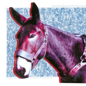 Protomartyr Album ‘Ultimate Success Today’ Is Not For the Faint of Heart