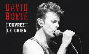 Streaming Only David Bowie Concert from ’95 Reveals More Obscure Gems 