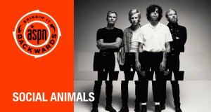 Bringin’ it Backwards: Interview with Social Animals
