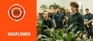 Bringin’ it Backwards: Interview with Waxflower