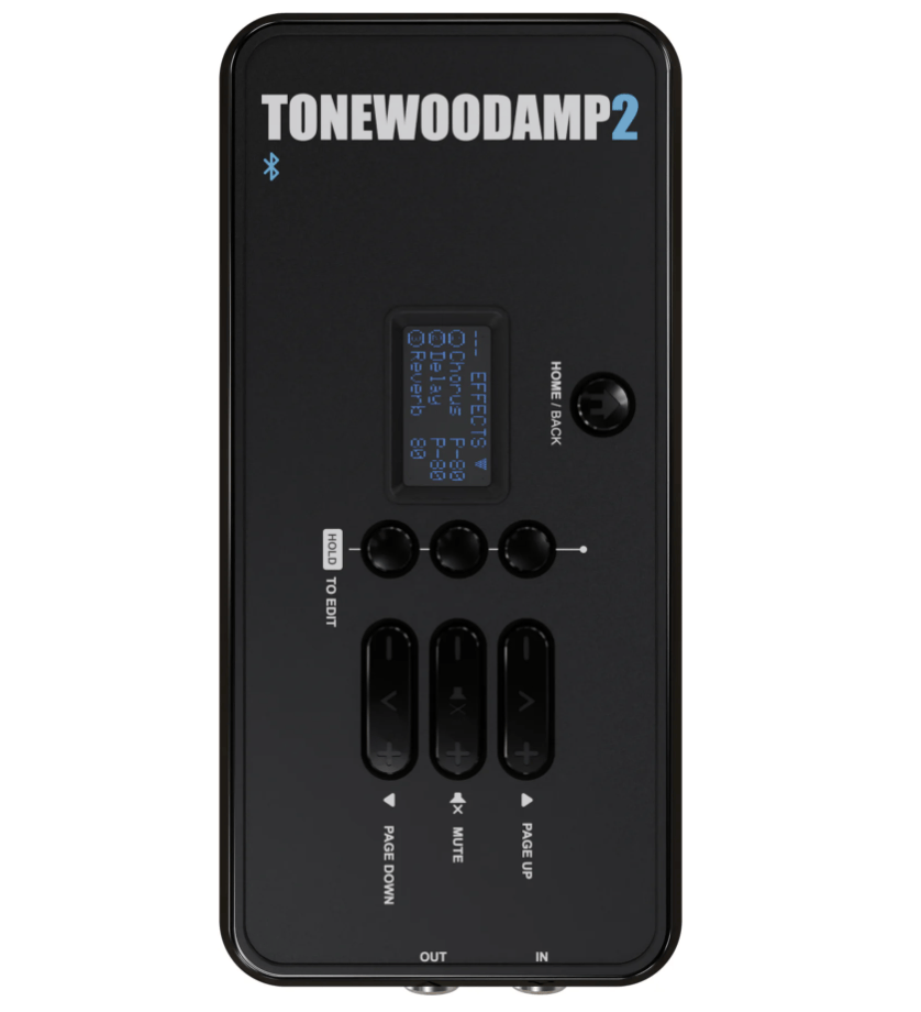 Tonewood Amp 2