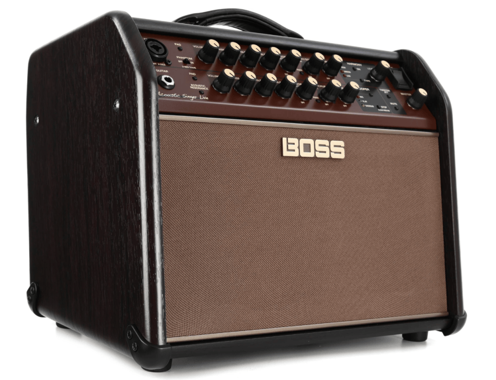 BOSS Acoustic Singer Live