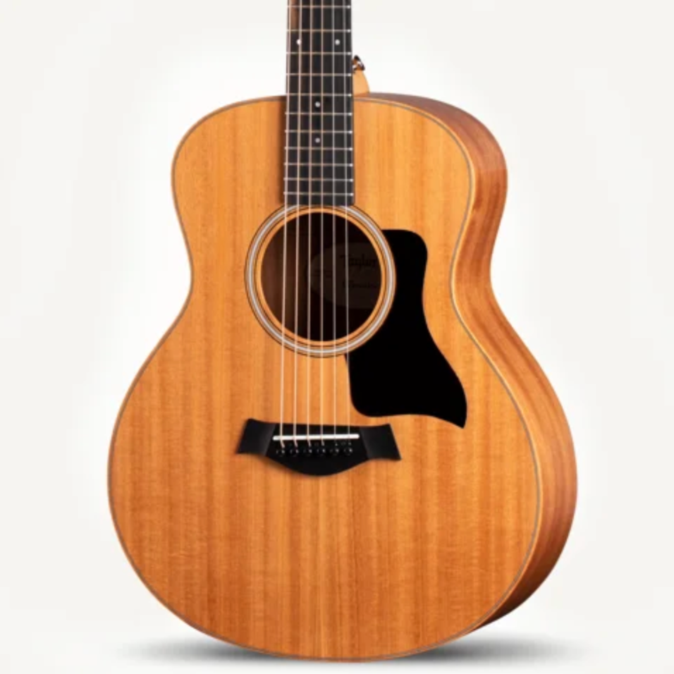 Taylor GS Mini-e