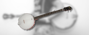 Washburn Americana B9 Banjo Review: A Solid Option for Beginners and Beyond