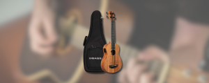 Kala U-Bass Review: Bass, Island Style