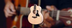 Taylor GS Mini-E Bass Review: Couch-Friendly Acoustic Bass