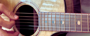 Myrzilian 2 Acoustic Guitar Review: The Breedlove + Sweetwater Project That Redefines Craftsmanship