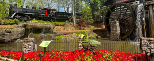 Dollywood Celebrates 40th Anniversary, Dolly Parton Worried No One Would Come