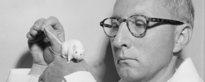 Rats Can Keep Time and There’s Music in Our DNA: 3 Scientific Breakthroughs in the World of Sound