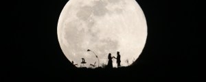 The Dark Story That Inspired King Harvest’s “Dancing In The Moonlight”
